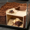thumbnail image 2 of Hermit Crab Hide 2-in-1 Cave Shelter Feeding Dish Crab Tank Hideout And Feeder with Dual Food Bowls Textured Climbing Ramp Viewing Window Accessory for Hermit Crab Tank, 2 of 8