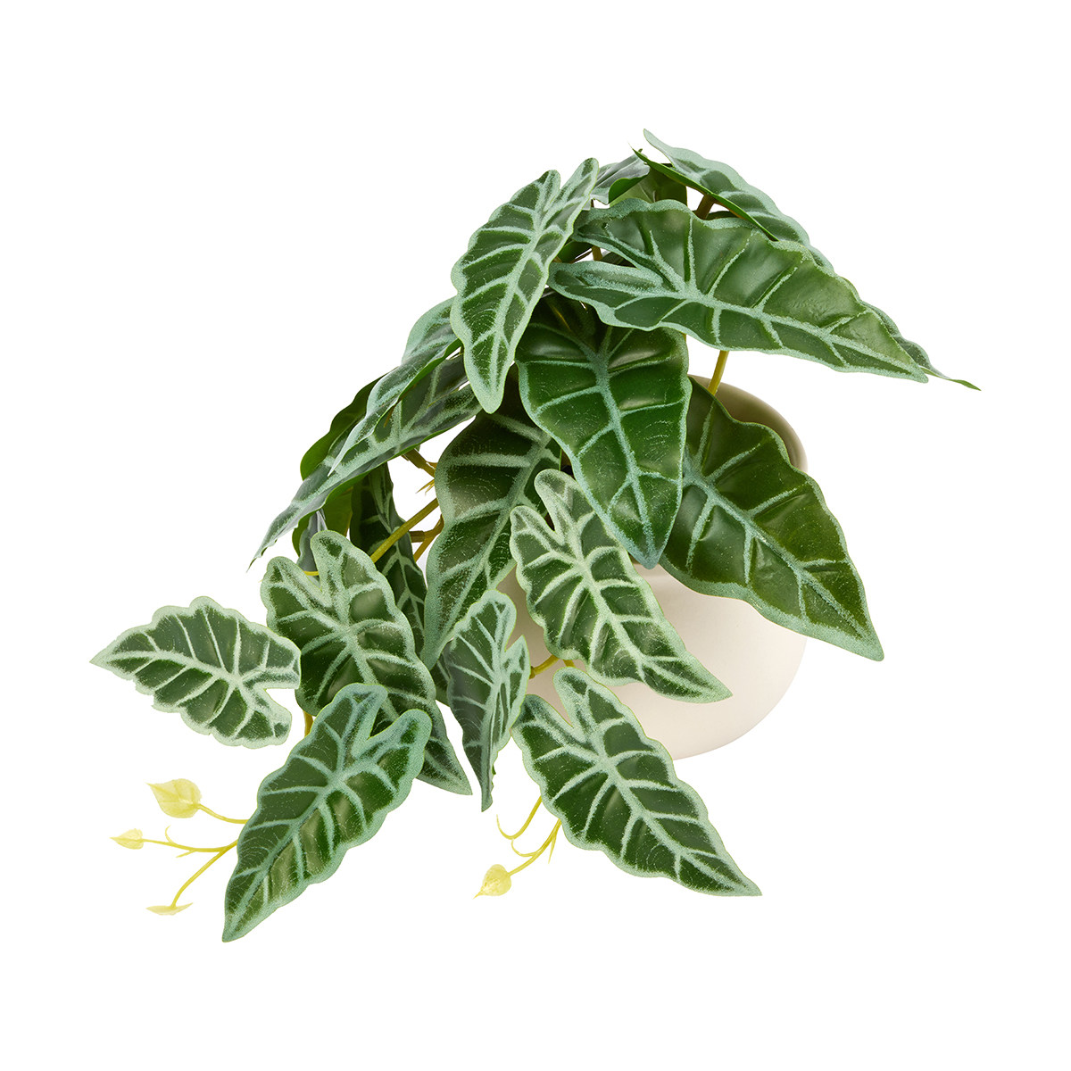 Anko Alocasia artificielle dans un pot en céramique