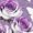 Purple-2, variant on UNISHE Women's Purple Roses & Blue Butterflies Graphic V-Neck Sleeveless T-Shirt Casual Summer Tank Top