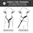 thumbnail image 2 of CNKOO  Dog Leash  Durable Anti Slip Dog Lead 4.4 FT Comfortable Strong Rope  Slip Leash for Medium & Small Dogs   Pulling Pet Training Leash Blue, 2 of 8