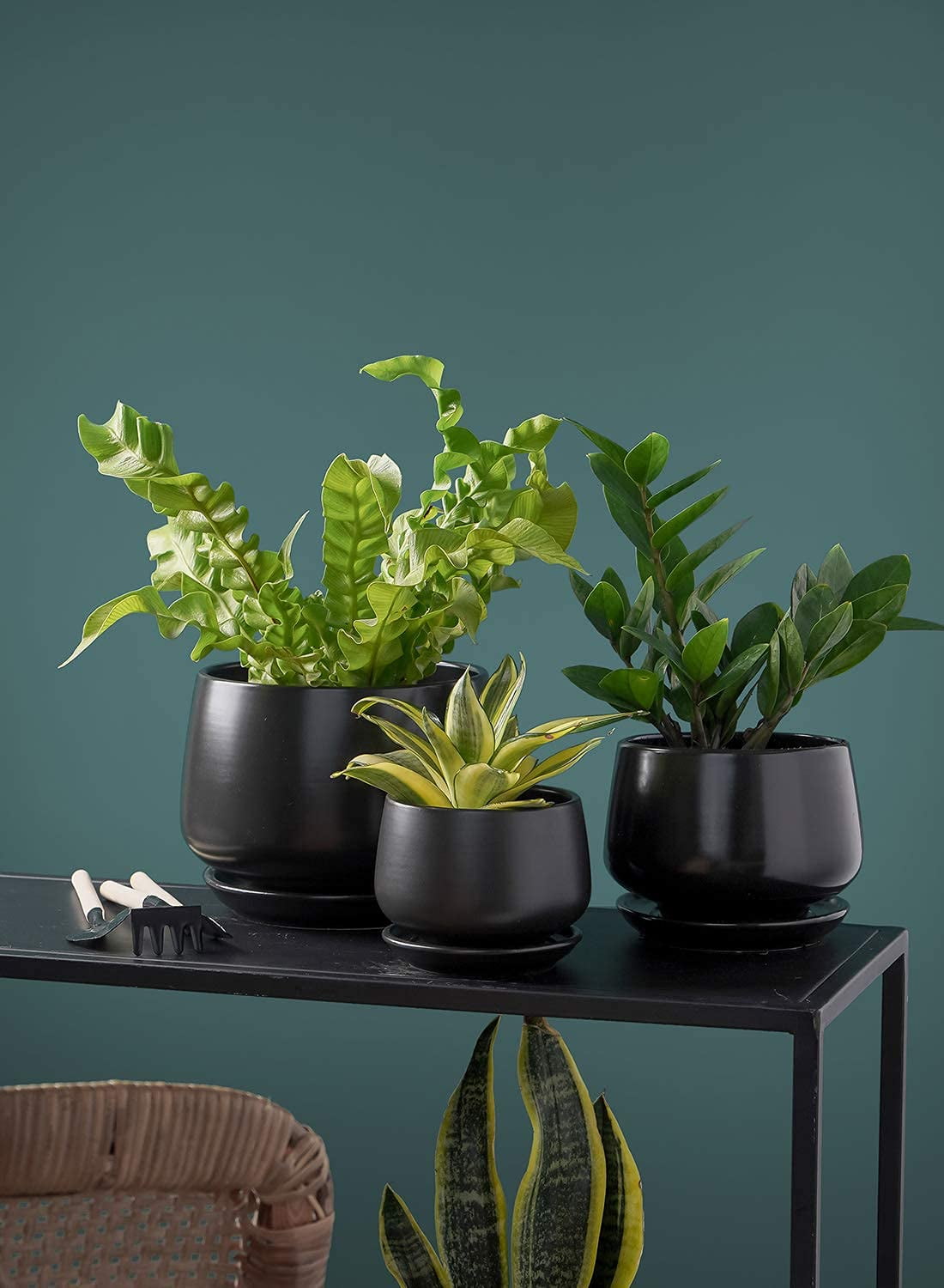 BEMAY Set of 3 Ceramic Plant Pots with Drainage Holes and Saucers, Indoor & Outdoor Decorative Planters, Modern Greenery