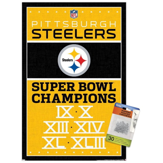 NFL Pittsburgh Steelers - Champions 13