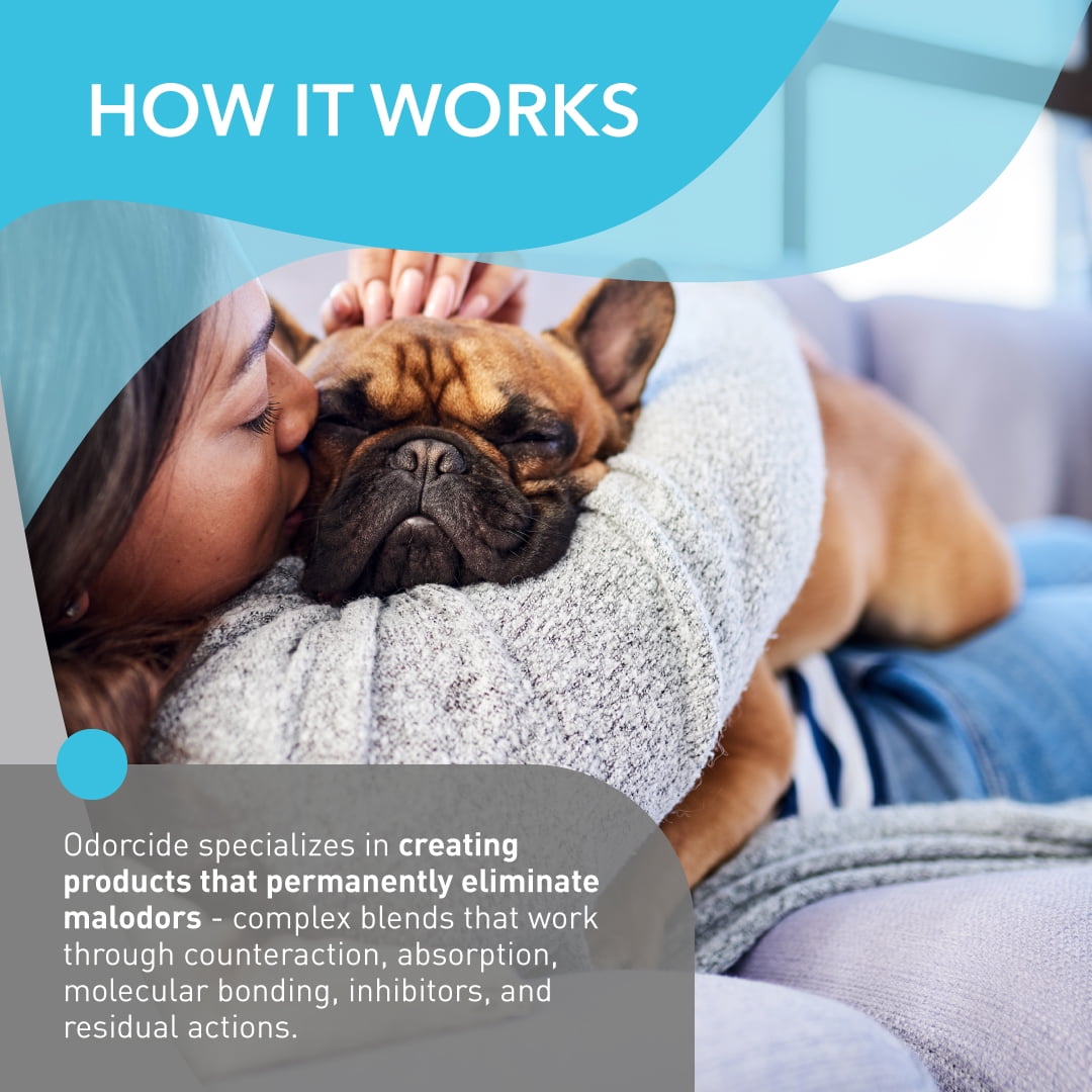 Odorcide Pet Odor Eliminator for Home & Kennel 32oz – All Surfaces Odor Eliminator for Strong Odor – Non-Enzymatic Pet Urine Odor Eliminator Spray – Pet Supplies for Indoors & Outdoors (HK-Q)