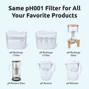 Invigorated Water PH001 Alkaline Water Filter, 96 Gallons Capacity/Filter (3-Pack, Black)