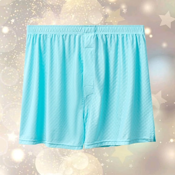 Men’s Breathable Briefs Elastic Waistband Split Underpants Soft Everyday Sleepwear Casual Athletic ShortsSky BlueL