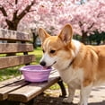 thumbnail image 5 of FEOLGEHLY Slow Feed Travel Dog Bowl Pet Bowl, Non Skid Collapsible Silicone Slow Feeding Food Water Bowl for Small Dogs and Cat Bowls for Indoor Cats Outdoor Portable Pet Dining Supplies, 5 of 6