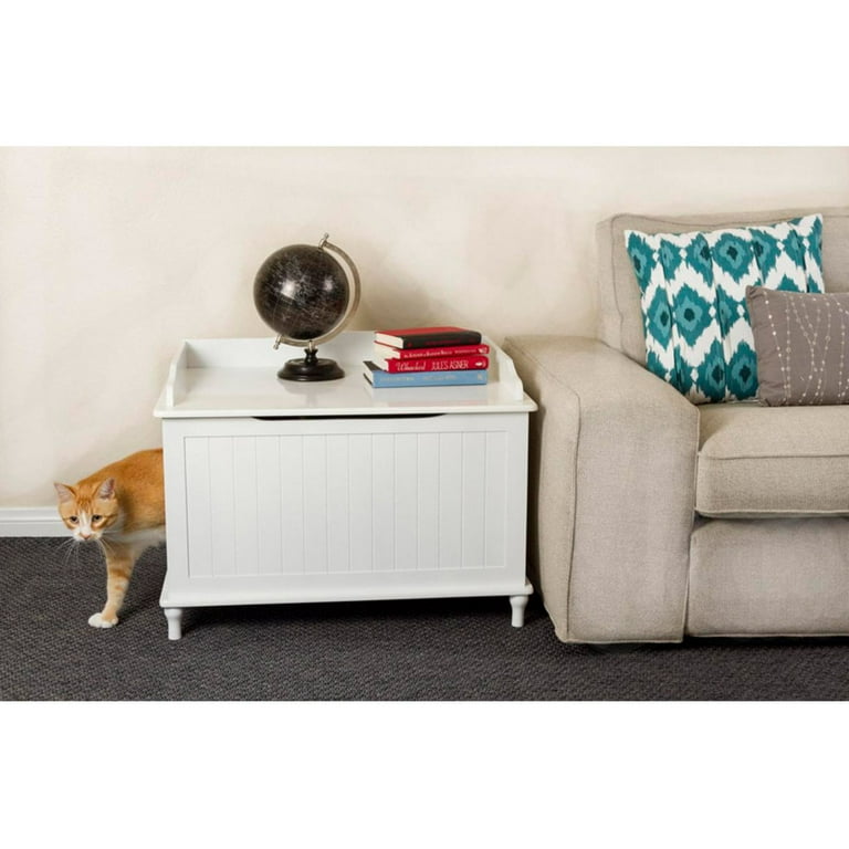 Designer catbox hotsell