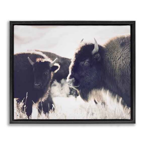 Stupell Industries Rustic Lodge Bison Gazing in Nature Black Floating Frame Canvas Art, 21 x 17, by Sisi and Seb