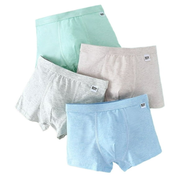 LYMAYTER Kids Boys Cotton Boxer Underwear 4-Pack Soft Comfortable Briefs Teenagers Four Corners Shorts the Four Seasons Underpants M-4XL