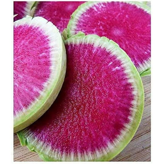 Exotic Radish Watermelon Seeds for Planting - 250  Seeds - Rare Garden Vegetable Seeds