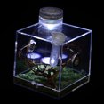 TUIBELYN Spider Habitat Storage Box with Lamp for Small Reptiles