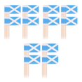 thumbnail image 6 of Set of 3 Cupcake Toppers Birthday National Flag Toothpicks M, 6 of 8