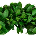 thumbnail image 5 of Northlight Preserved Leaf Spring Garden Wreath - 20" - Unlit, 5 of 7