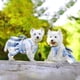 thumbnail image 5 of Traje de baño para perros, bikini de verano, ropa para perros, traje de baño de playa, traje de baño para cachorros, camisa para mascotas para perros pequeños (piña amarilla) L, 5 of 7