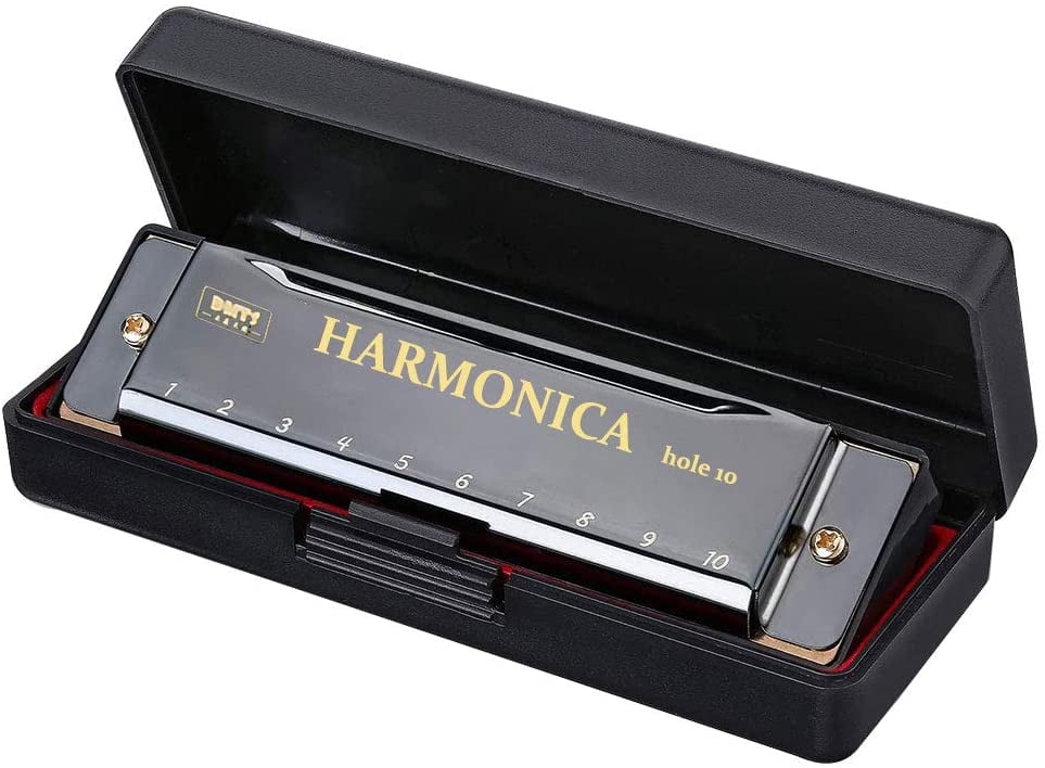 Harmonica for Kids 10 Holes 20 Tunes Mouth Organ Deluxe Blues Harmonica