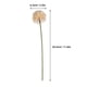 thumbnail image 4 of KAKOWELY piezas de flores artificiales de diente de león, flores de diente de león artificiales, relleno de jarrón para decoración del hogar, 4 of 4