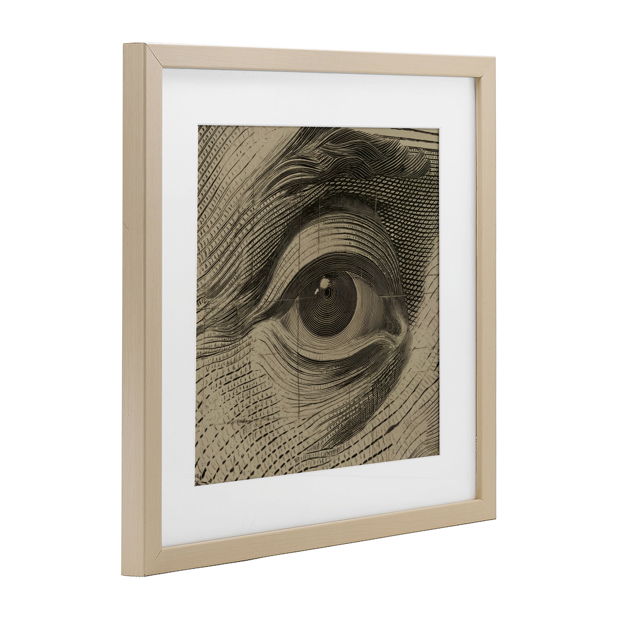 Stupell Industries Franklin's Gaze Eye Birch Framed Print Under Glass, design by Svetlana Aleynikova