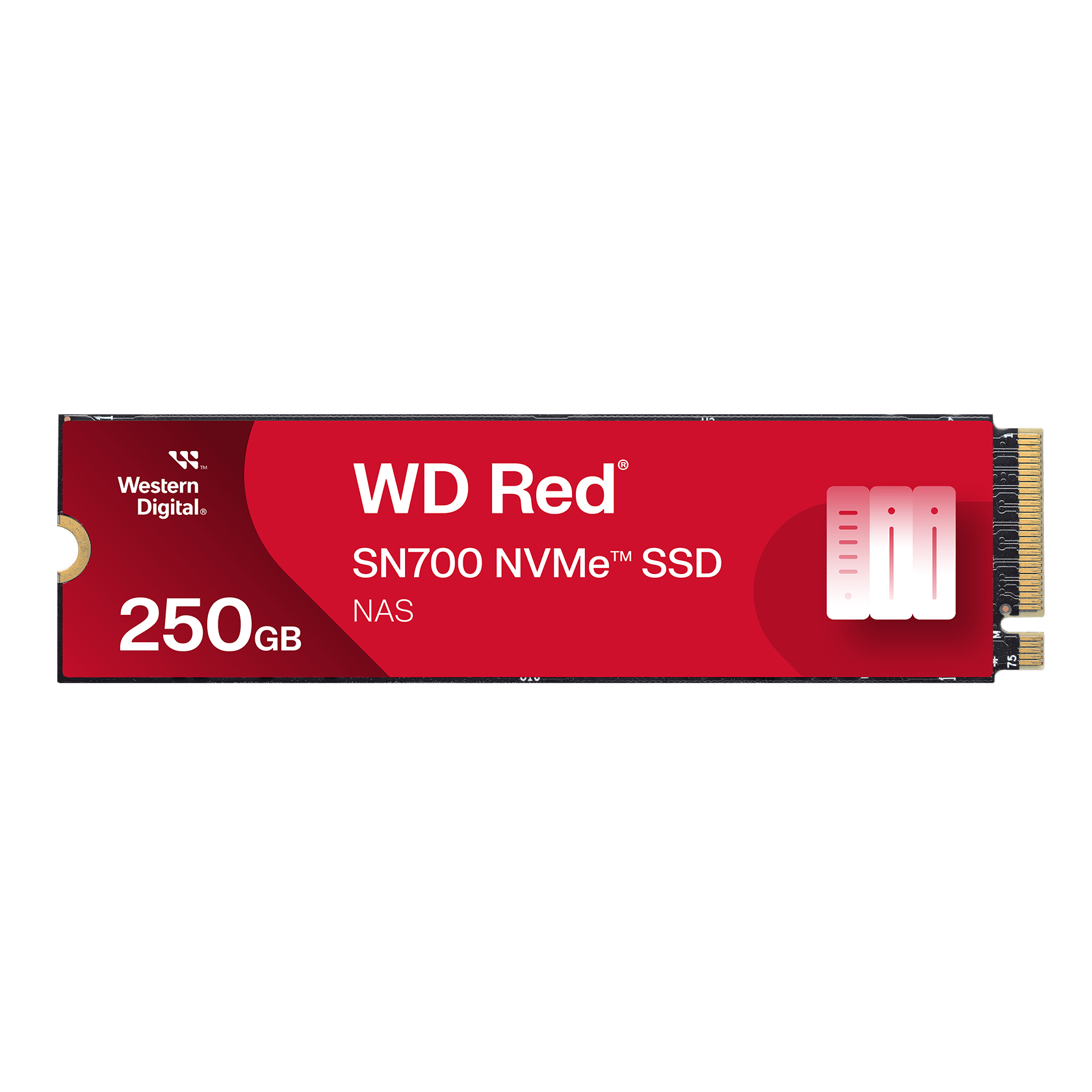 WD Red SA500 1TB M.2 SATA3 – SSD Per NAS – Cache E Applicazioni Intensive 24/7