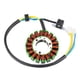 thumbnail image 2 of Estator de Motocicleta Sunnimix Bobina de magneto de 18 cables para YP250 LH170MN, 2 of 6
