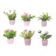 thumbnail image 1 of 6 piezas de flores artificiales en maceta, mini plantas rústicas en maceta. Estilo B, 1 of 9