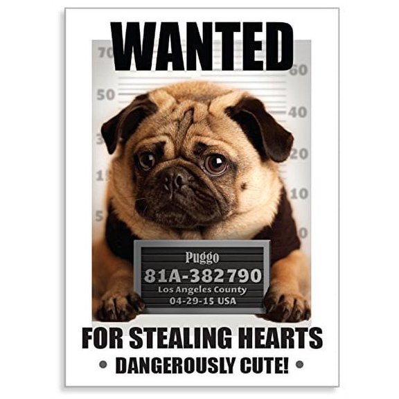 PUGGO Pugs Art Collection, WANTED - Officially Licensed Pug Heavy Duty MAGNET - 2.5" x 3.5"
