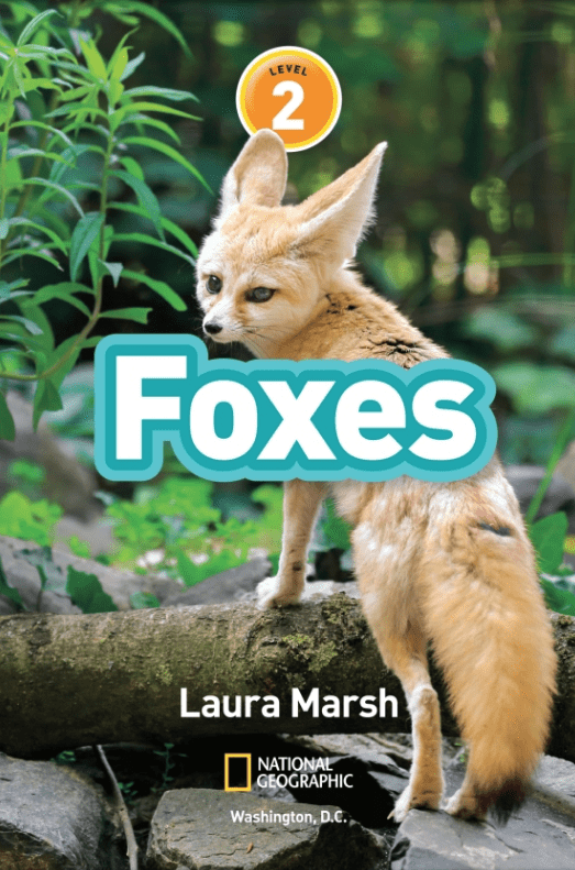 National Geographic Kids: Level 2: Foxes by Laura Marsh