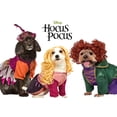 thumbnail image 5 of Hocus Pocus Winifred Sanderson Dog Costume, 5 of 5