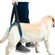 thumbnail image 1 of Arnés de soporte para perros, arnés de soporte para perros para pata trasera, correa de transporte con correa de elevación portátil, ayuda a perros con patas traseras débiles, 1 of 5