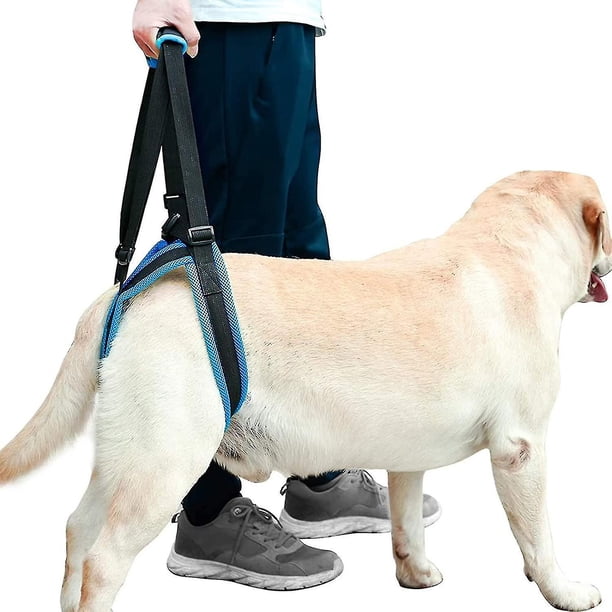 Arnés de soporte para perros, arnés de soporte para perros para pata trasera, correa de transporte con correa de elevación portátil, ayuda a perros con patas traseras débiles