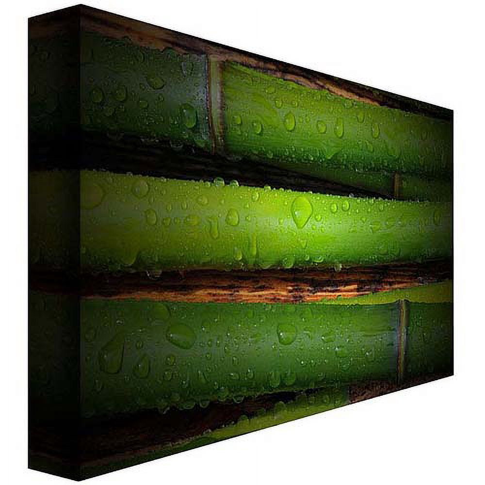 Trademark Art "Bamboo Drops" Canvas Art by Philippe Sainte-Laudy
