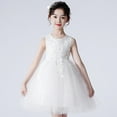 thumbnail image 4 of KAWELL Flower Girls Party Dress Embroidery Sleeveless Rainbow Mesh Tulle Princess Lace Ball Gown Prom, 4 of 6