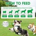 thumbnail image 4 of Oimmal Pre & Probiotics Chews for Dogs - 60 Soft Chews(Duck Flavor), Digestive Probiotics for Gut Flora & Immune Support, Fresher in Smaller Packages - 1pack, 4 of 11