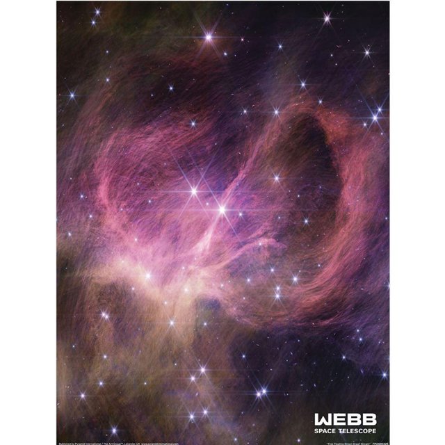 Webb Space Telescope Imprimé Nain Brun Flottant Libre Nircame
