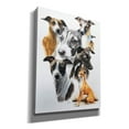 thumbnail image 2 of Epic Graffiti 'Italian Greyhound Medley' by Barbara Keith, Canvas Wall Art, 26"x34", 2 of 8