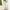 Beige, variant on Womens Plus Size Clearance Dresses Fashion Women Summer Casual Backless Solid Color Bandage Sexy Backless Dress