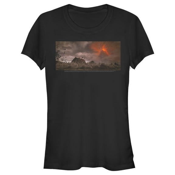 Junior's The Lord of the Rings Fellowship of the Ring Fall of Mordor Graphic Tee Black Large