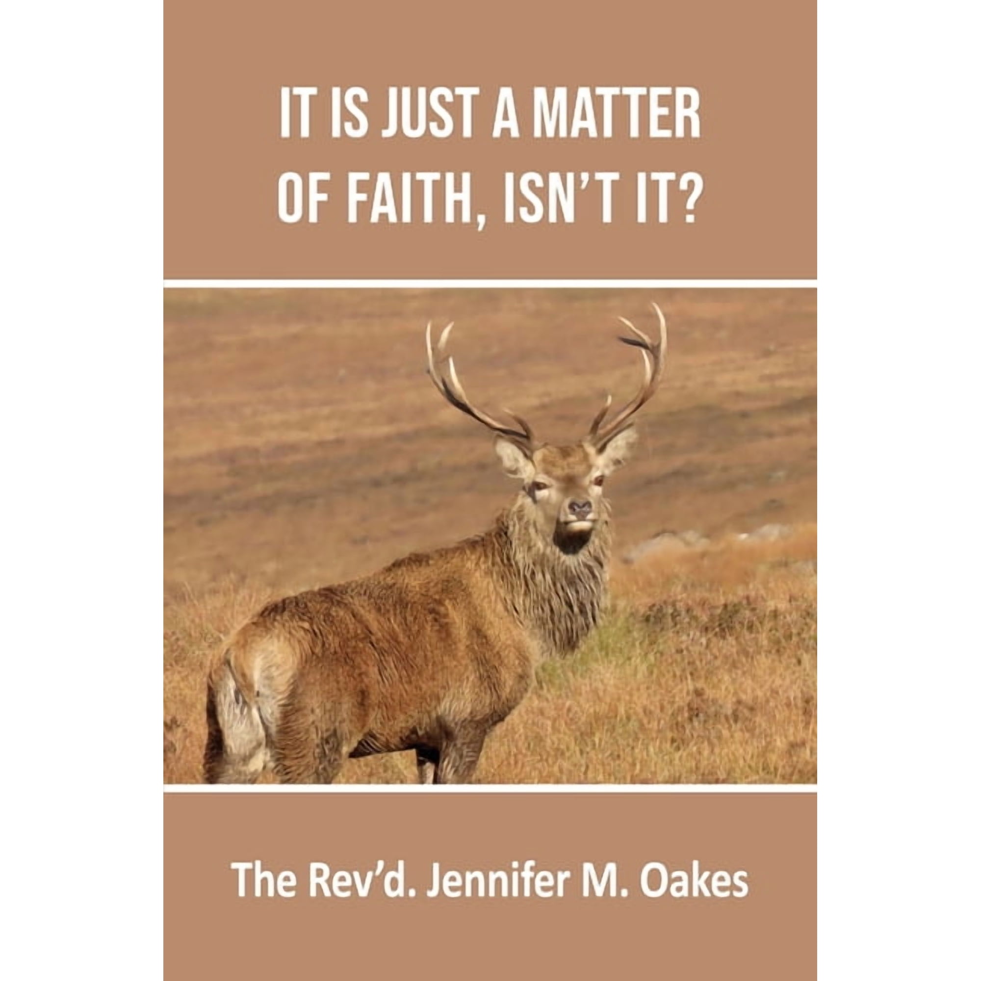 It is Just a Matter of Faith Isn t it? (Paperback)