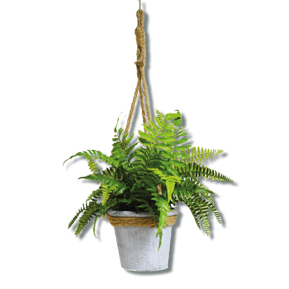 Planta Artificial JARDECO D-KOMANIA Planta Artificial