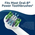 Equate EasyFlex Flossing Bacteria Defense Replacement Brush Heads
