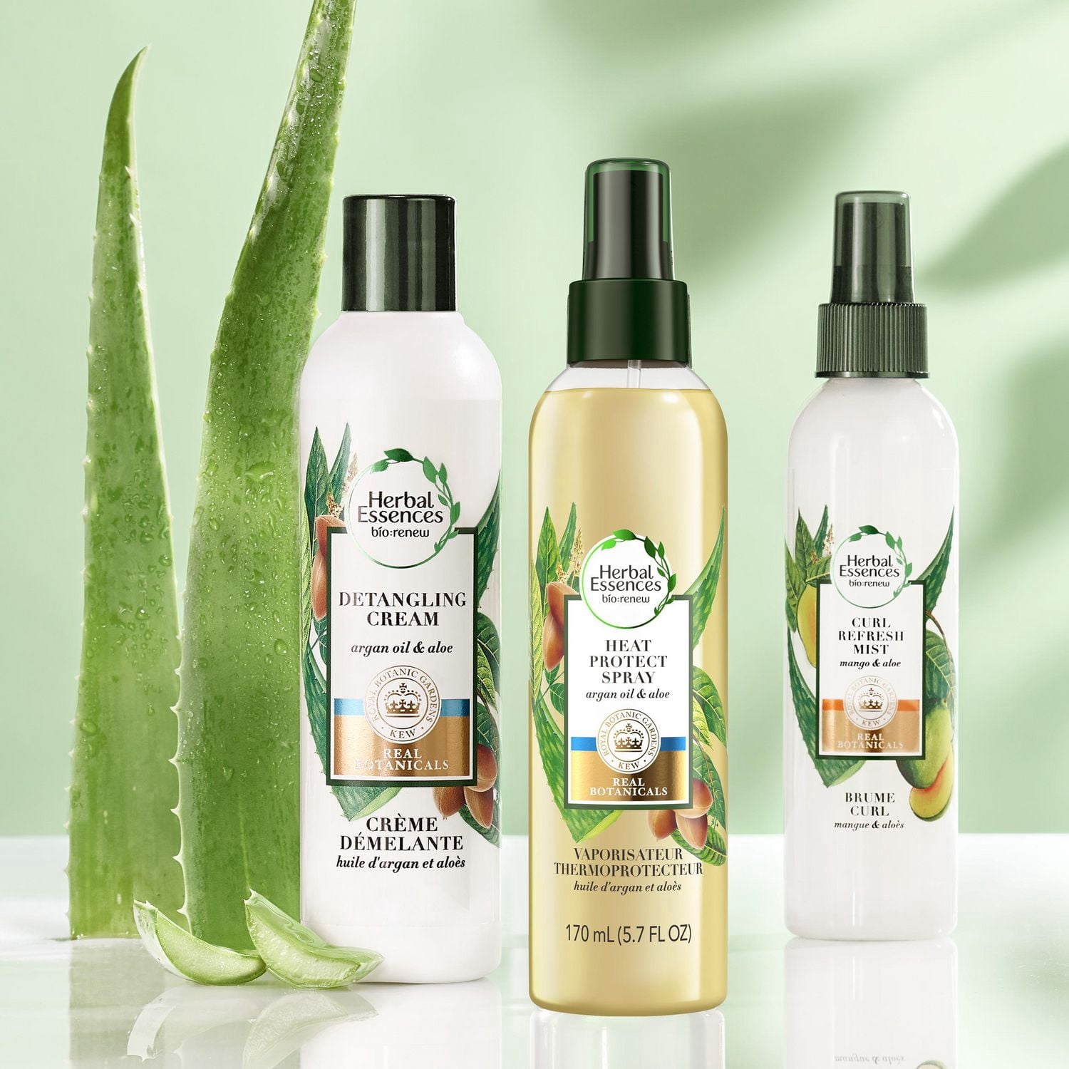 Bruine rafraîchissante Herbal Essences pour cheveux bouclés, mangue et huile d’aloès