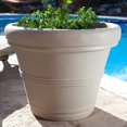 thumbnail image 3 of Crescent Garden Brunello, Classic Rolled-Rim Planter, 14" (Weathered Concrete), 3 of 6