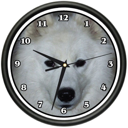Mini Pomeranian Wall Clock Dog Doggie pet Breed Gift