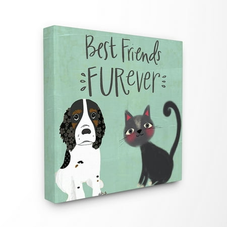 The Stupell Home Decor Collection Blue Best Friends Furever Dog And Cat Illustration Stretched Canvas Wall Art, 17 x (Best Friends Furever Reviews)