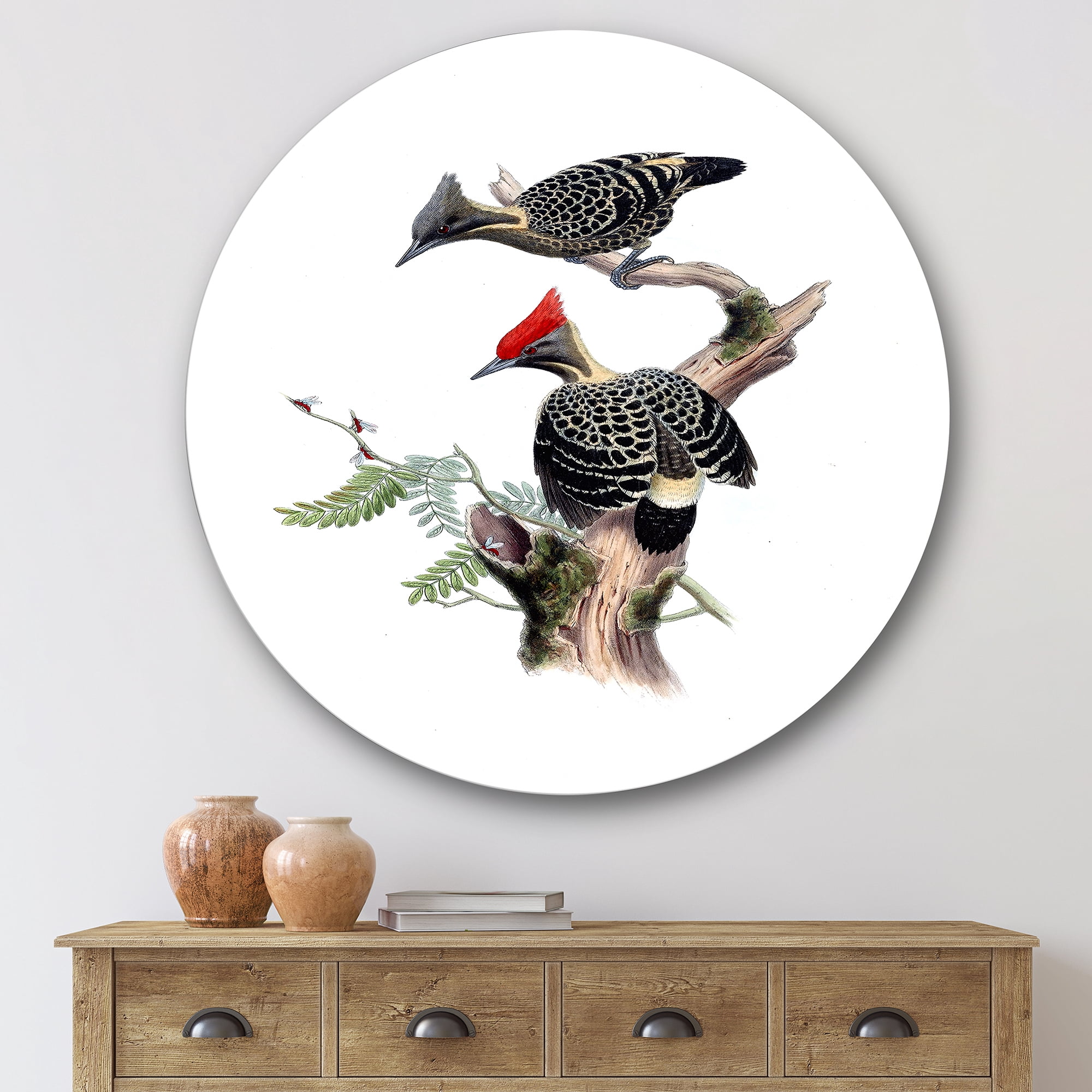 Designart 'Ancient Birds In The Wild VI' Traditional Circle Metal Wall Art 29x29 - Disc of 29