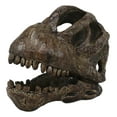 thumbnail image 3 of Faux Taxidermy Replica Brachiosaurus Dinosaur Head Fossil Small Skull Figurine, 3 of 9