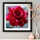 thumbnail image 4 of Pintura de Diamante Wdftyju Rosa Flor Rhinestone Bordado Decoración del Hogar, 4 of 9