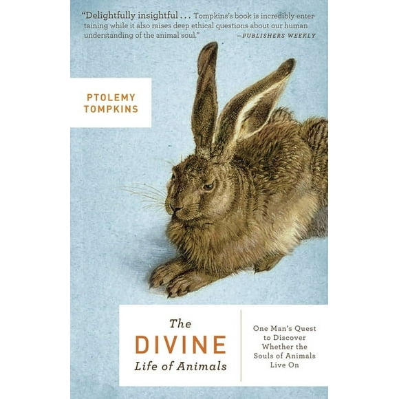 The Divine Life of Animals : One Man's Quest to Discover Whether the Souls of Animals Live On (Paperback)