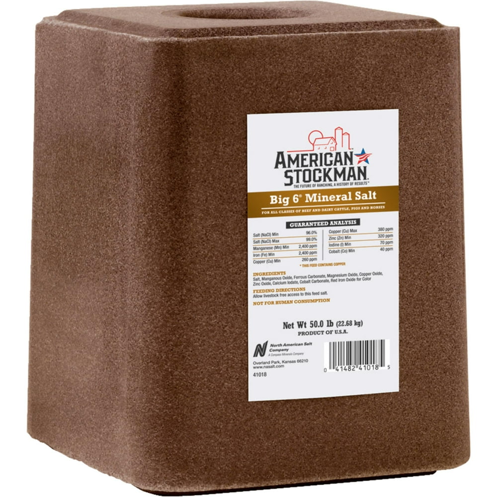 North American Salt Big 6 50Lb Mineral Salt Block