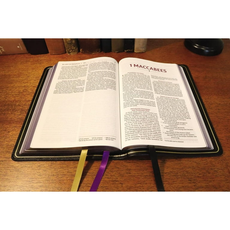 Nrsvue, Holy Bible with Apocrypha, Premium Goatskin Leather, Black