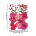 thumbnail image 2 of Zeceouar Colorful Natural Dried Flowers and Embossed Decorative Set, 2 of 5